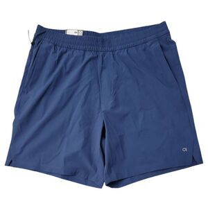 GAP Men's Blue Shorts